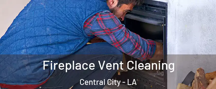 Fireplace Vent Cleaning Central City - LA