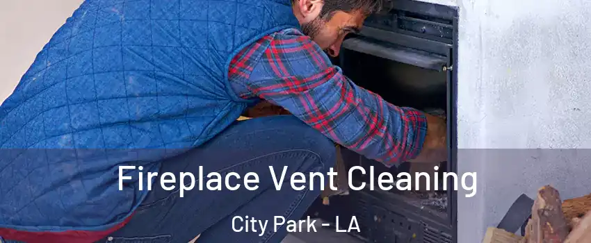 Fireplace Vent Cleaning City Park - LA