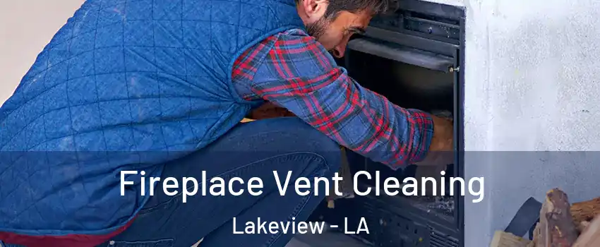 Fireplace Vent Cleaning Lakeview - LA