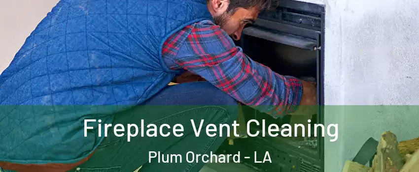 Fireplace Vent Cleaning Plum Orchard - LA