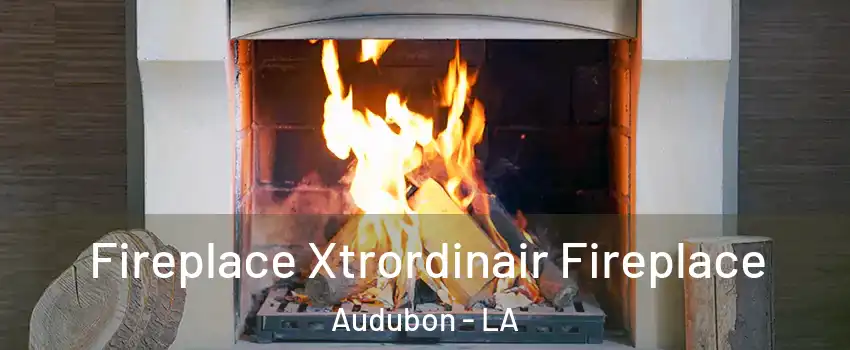 Fireplace Xtrordinair Fireplace Audubon - LA