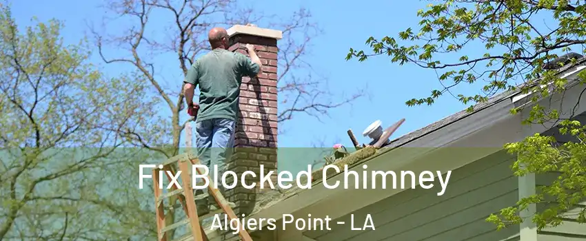 Fix Blocked Chimney Algiers Point - LA