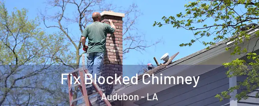 Fix Blocked Chimney Audubon - LA