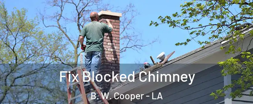 Fix Blocked Chimney B. W. Cooper - LA