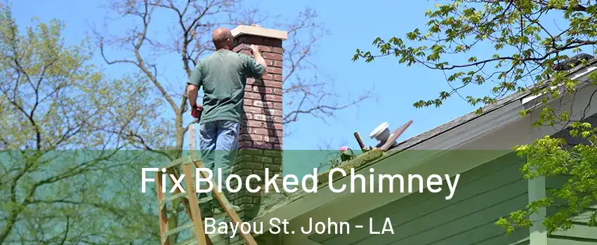 Fix Blocked Chimney Bayou St. John - LA