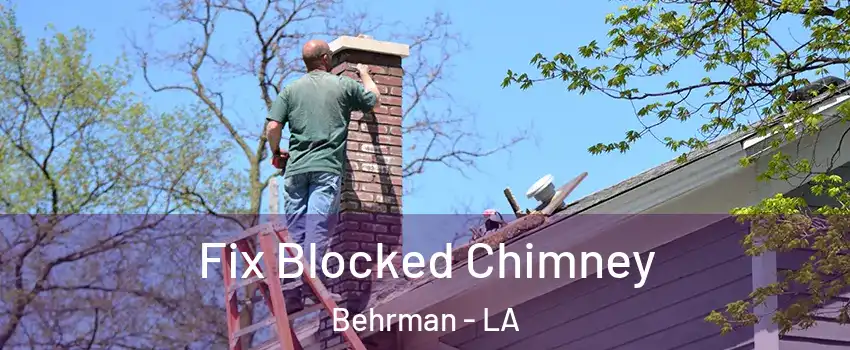 Fix Blocked Chimney Behrman - LA