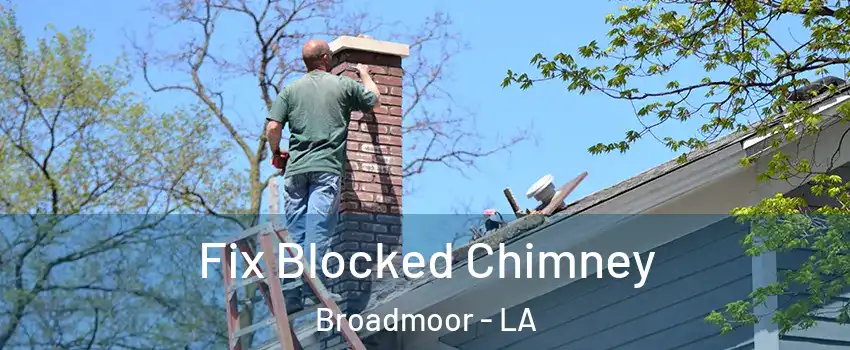 Fix Blocked Chimney Broadmoor - LA