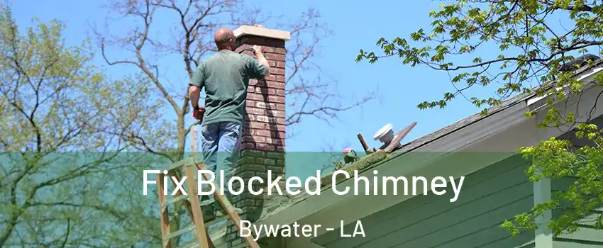 Fix Blocked Chimney Bywater - LA