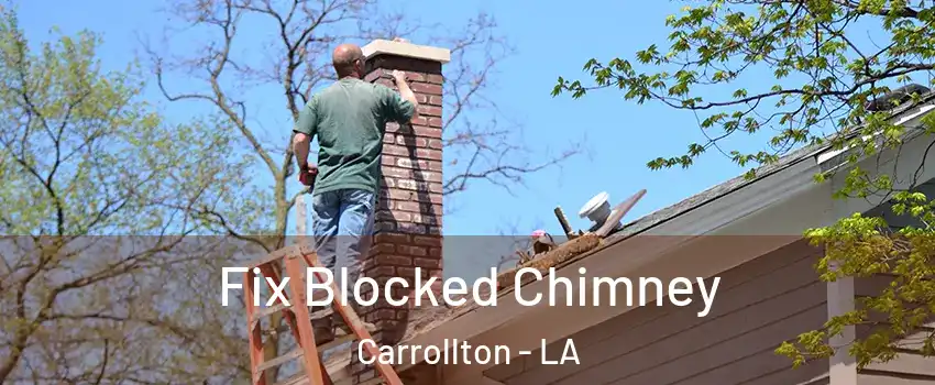 Fix Blocked Chimney Carrollton - LA