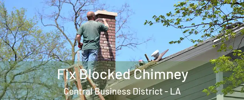 Fix Blocked Chimney Central Business District - LA