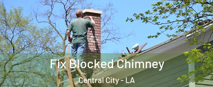 Fix Blocked Chimney Central City - LA