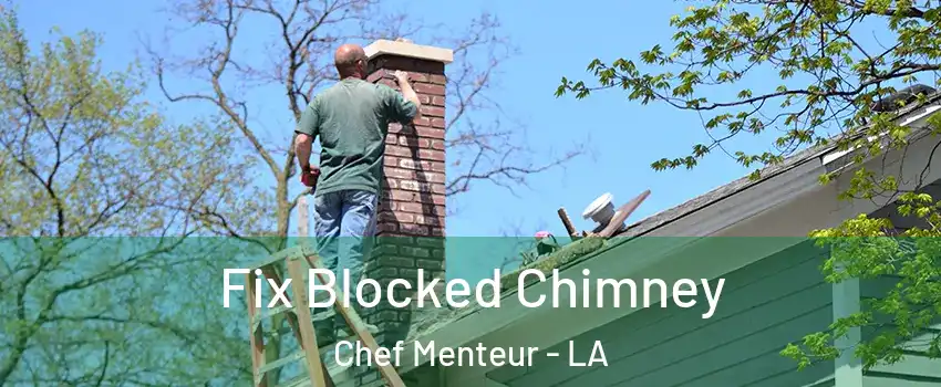 Fix Blocked Chimney Chef Menteur - LA