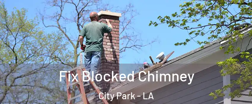 Fix Blocked Chimney City Park - LA