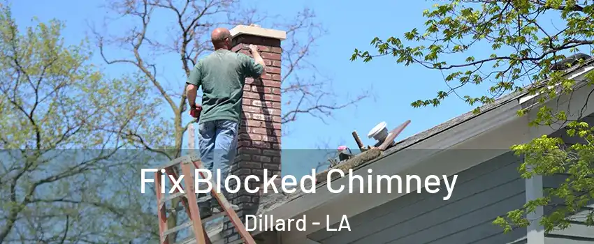 Fix Blocked Chimney Dillard - LA