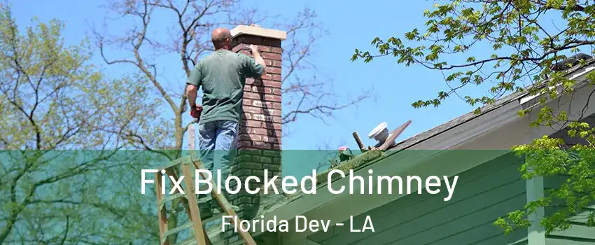 Fix Blocked Chimney Florida Dev - LA