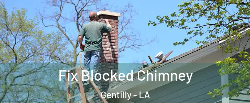 Fix Blocked Chimney Gentilly - LA