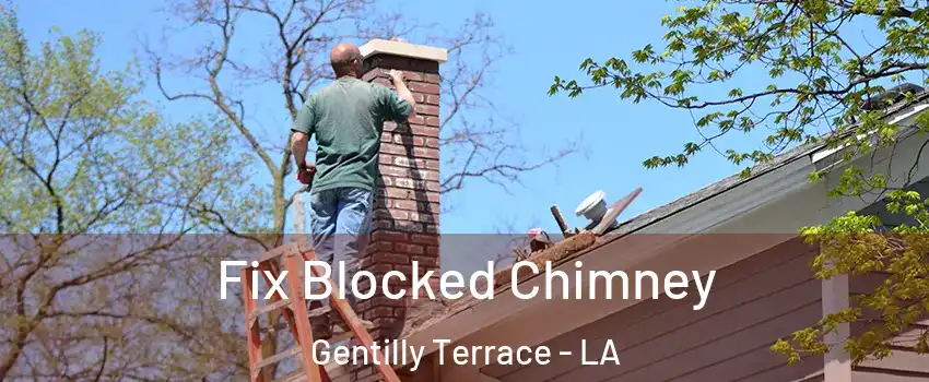 Fix Blocked Chimney Gentilly Terrace - LA