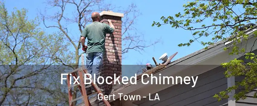 Fix Blocked Chimney Gert Town - LA