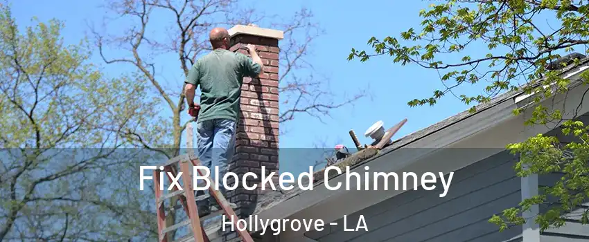 Fix Blocked Chimney Hollygrove - LA