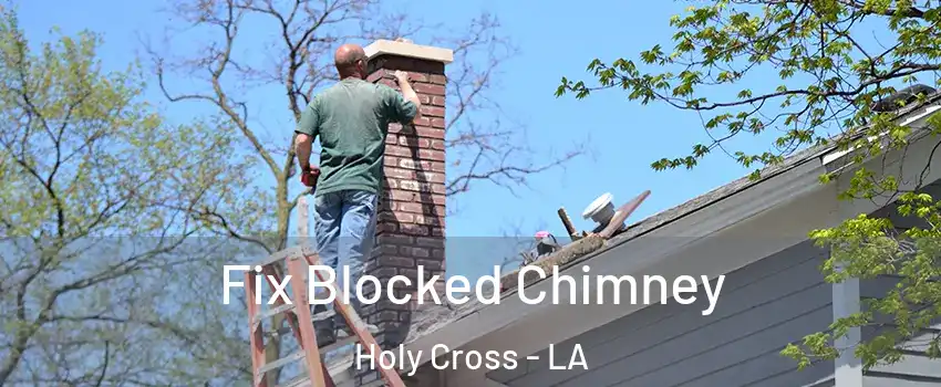 Fix Blocked Chimney Holy Cross - LA