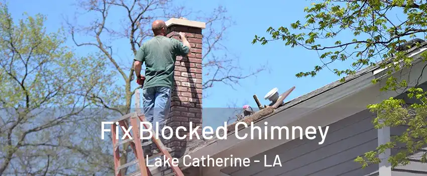 Fix Blocked Chimney Lake Catherine - LA