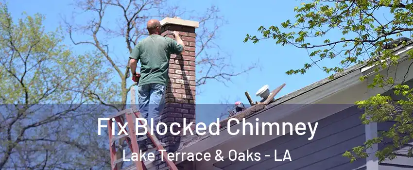 Fix Blocked Chimney Lake Terrace & Oaks - LA