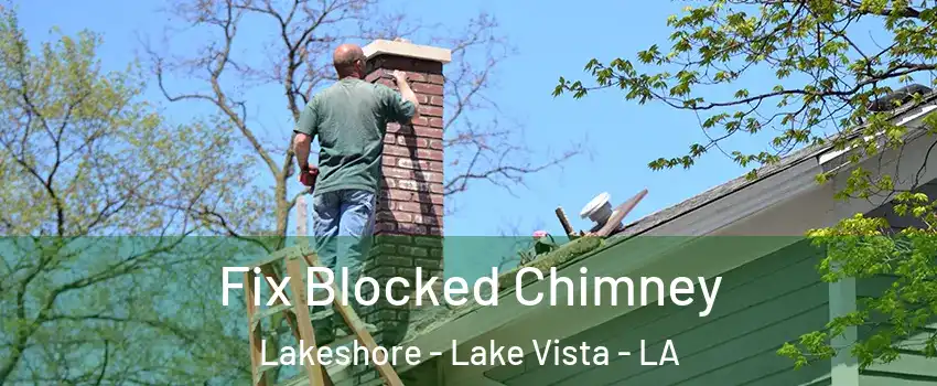 Fix Blocked Chimney Lakeshore - Lake Vista - LA