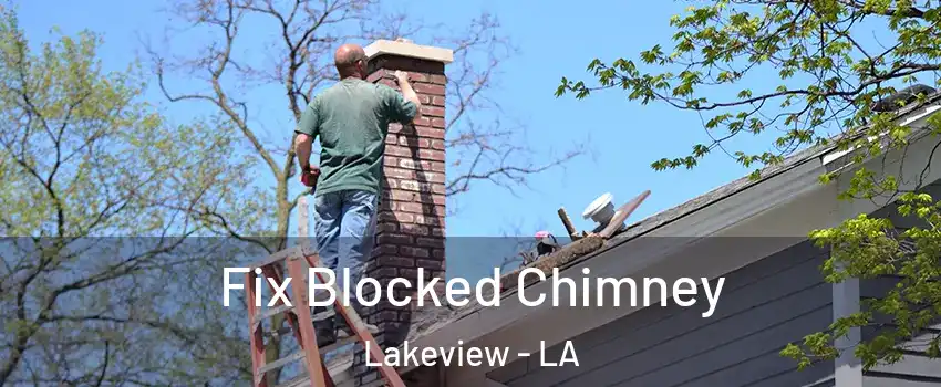 Fix Blocked Chimney Lakeview - LA