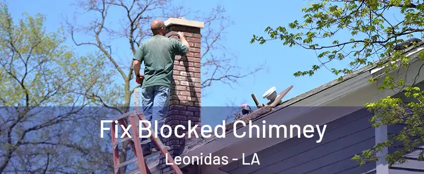 Fix Blocked Chimney Leonidas - LA