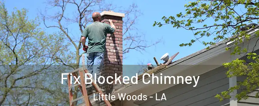 Fix Blocked Chimney Little Woods - LA