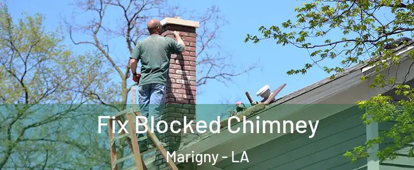 Fix Blocked Chimney Marigny - LA