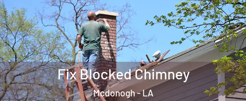 Fix Blocked Chimney Mcdonogh - LA