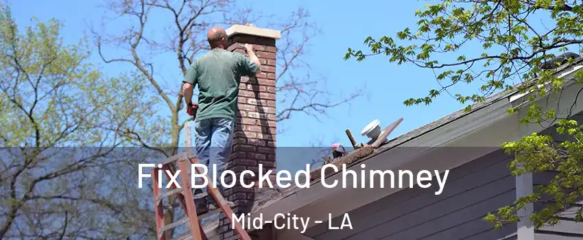 Fix Blocked Chimney Mid-City - LA