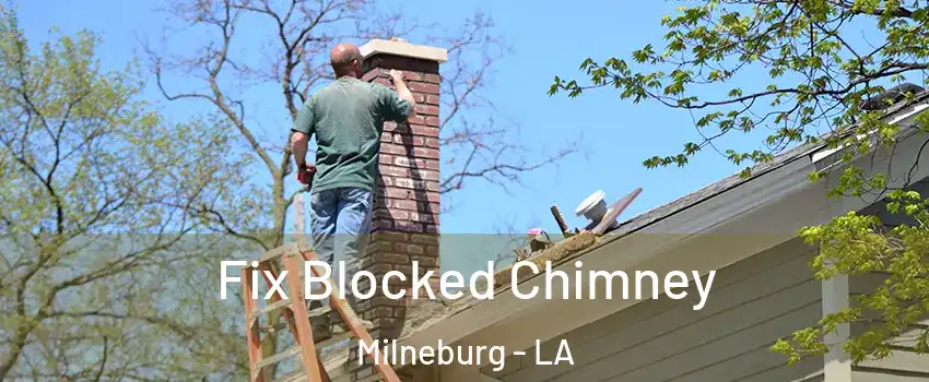 Fix Blocked Chimney Milneburg - LA