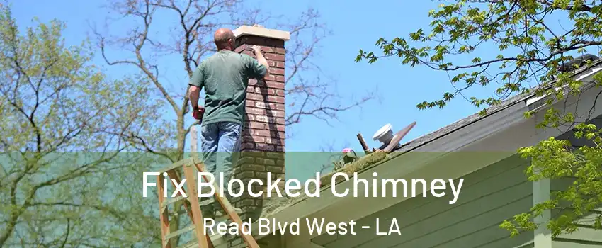 Fix Blocked Chimney Read Blvd West - LA