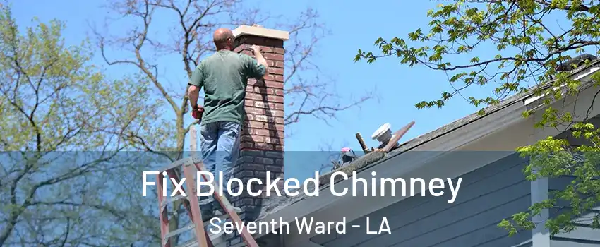 Fix Blocked Chimney Seventh Ward - LA