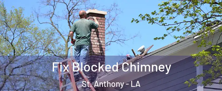 Fix Blocked Chimney St. Anthony - LA