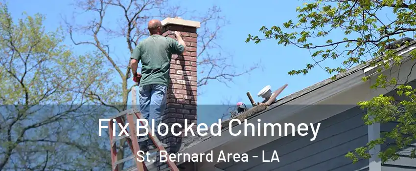 Fix Blocked Chimney St. Bernard Area - LA