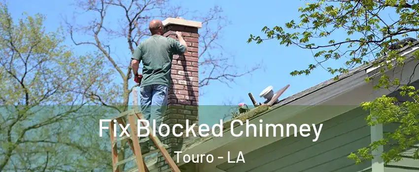 Fix Blocked Chimney Touro - LA