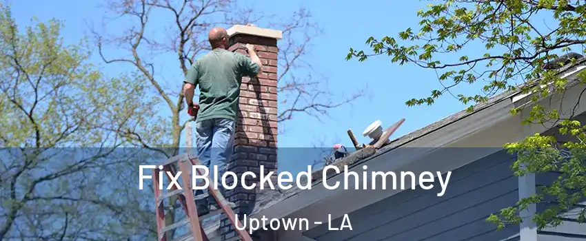 Fix Blocked Chimney Uptown - LA