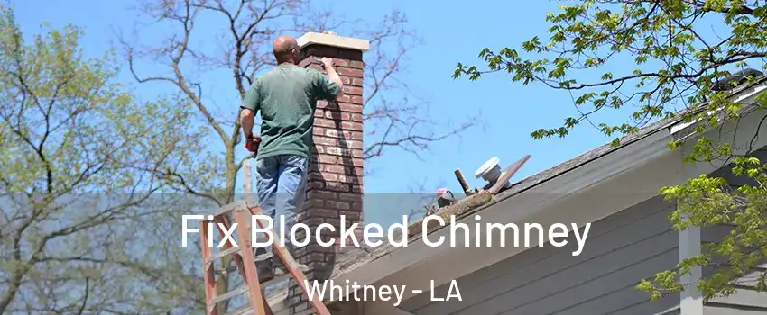 Fix Blocked Chimney Whitney - LA