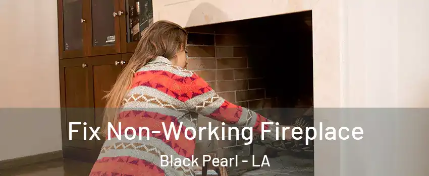 Fix Non-Working Fireplace Black Pearl - LA