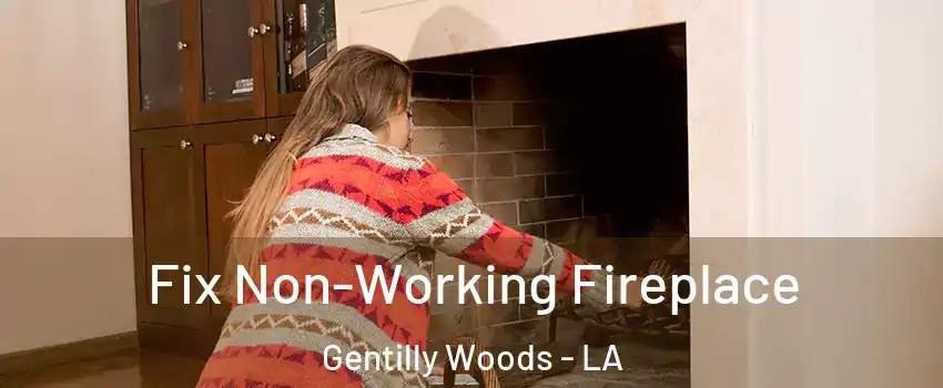 Fix Non-Working Fireplace Gentilly Woods - LA