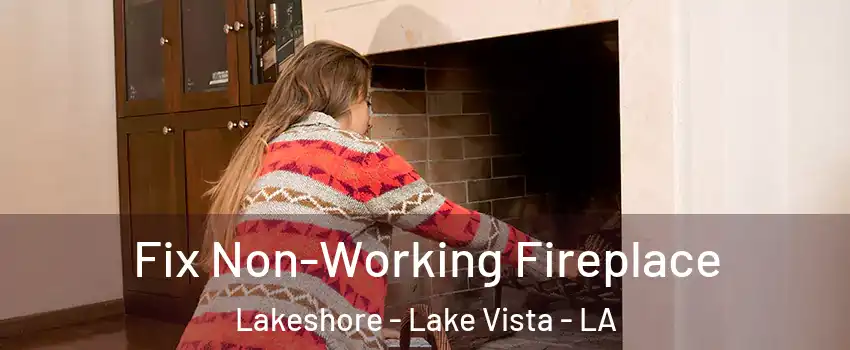 Fix Non-Working Fireplace Lakeshore - Lake Vista - LA