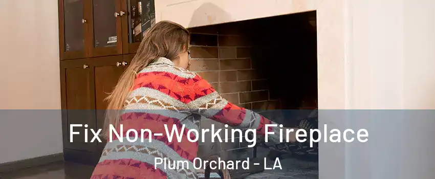 Fix Non-Working Fireplace Plum Orchard - LA