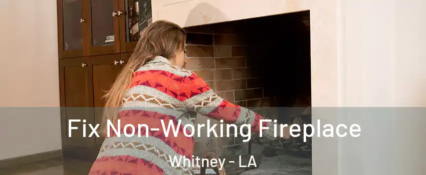 Fix Non-Working Fireplace Whitney - LA