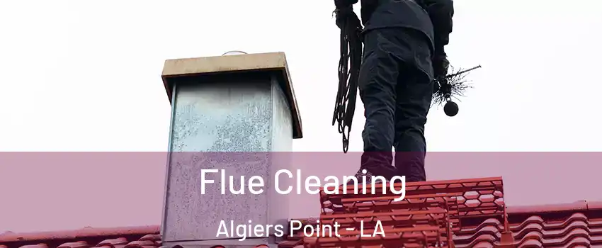 Flue Cleaning Algiers Point - LA