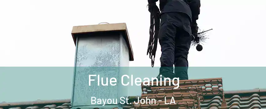 Flue Cleaning Bayou St. John - LA