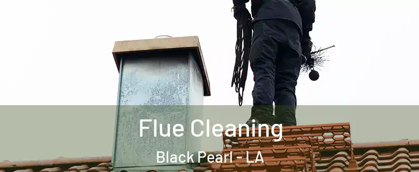 Flue Cleaning Black Pearl - LA