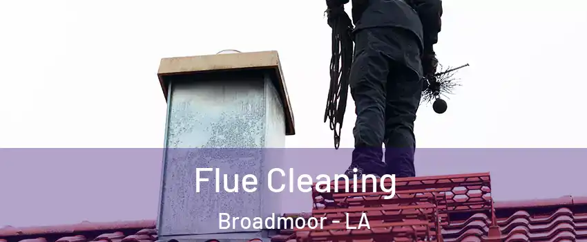 Flue Cleaning Broadmoor - LA